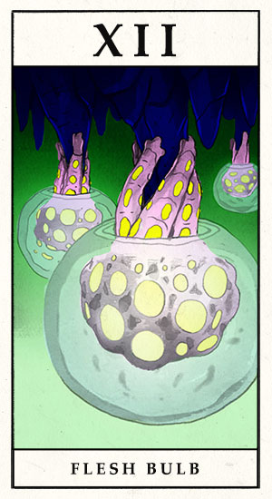 Flesh Bulb