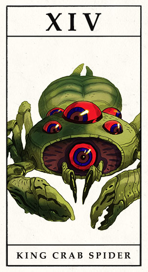 King-Crab Spider