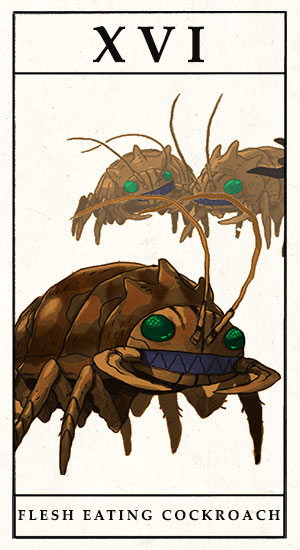 Flesh-Eating Cockroach