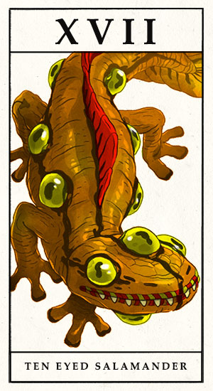 Ten-Eyed Salamander
